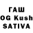 Псилоцибиновые грибы Cubensis Samsul Anwar