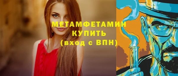 прущие грибы Волоколамск