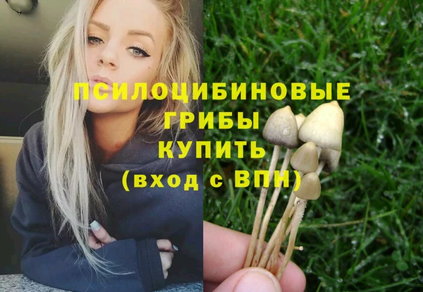 прущие грибы Волоколамск