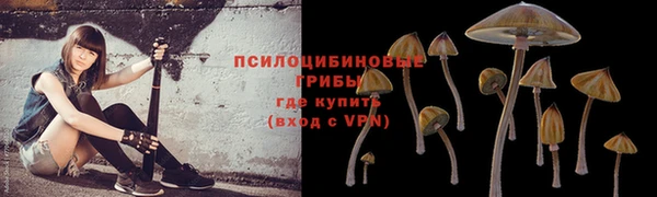 соль курить ск Володарск