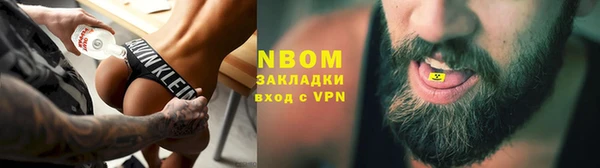 прущие грибы Волоколамск