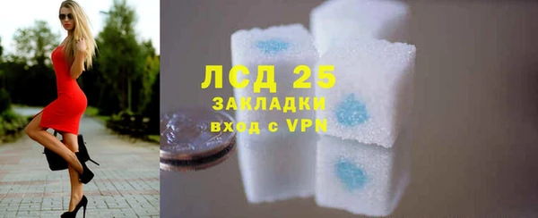 прущие грибы Волоколамск