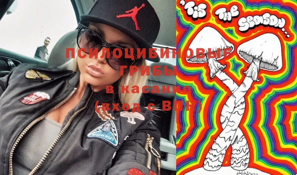 прущие грибы Волоколамск