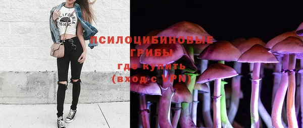 прущие грибы Волоколамск