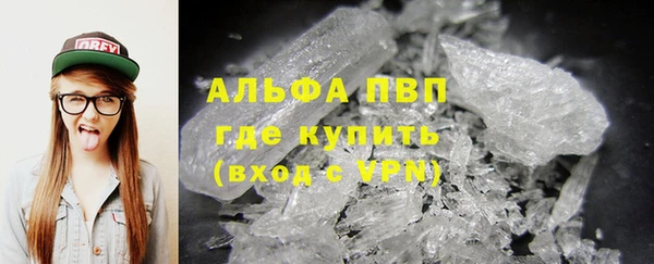 прущие грибы Волоколамск
