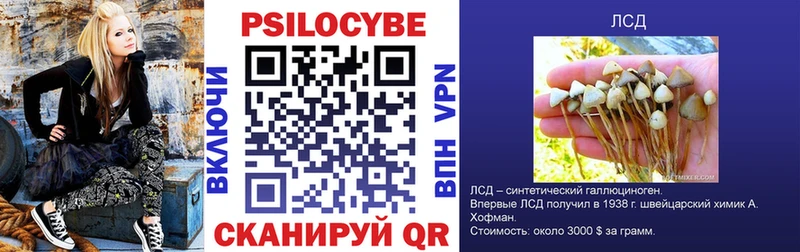 Галлюциногенные грибы Psilocybe Зима