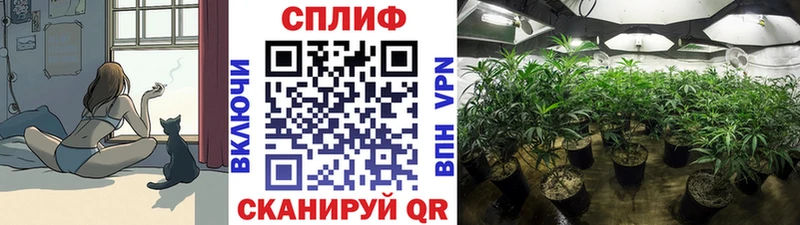где найти   blacksprut tor  Бошки Шишки Bruce Banner  Зима 